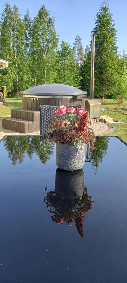 Viesu Nams Buselis Hotel Turaida Kültér fotó